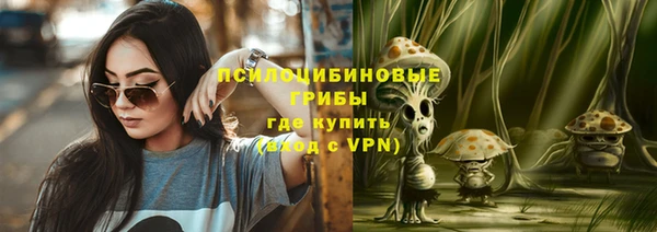 эйфоретик Белокуриха