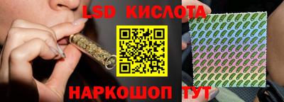 a pvp Заводоуковск