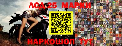 a pvp Заводоуковск