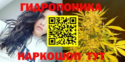 a pvp Заводоуковск