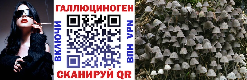 мориарти наркотические препараты где купить наркотик blacksprut вход Новый Уренгой Галлюциногенные грибы GOLDEN TEACHER