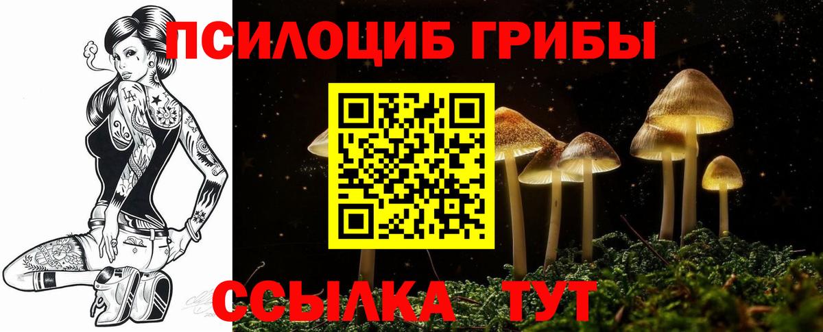 Галлюциногенные грибы Psilocybine cubensis  Вход с VPN  Новый Уренгой 